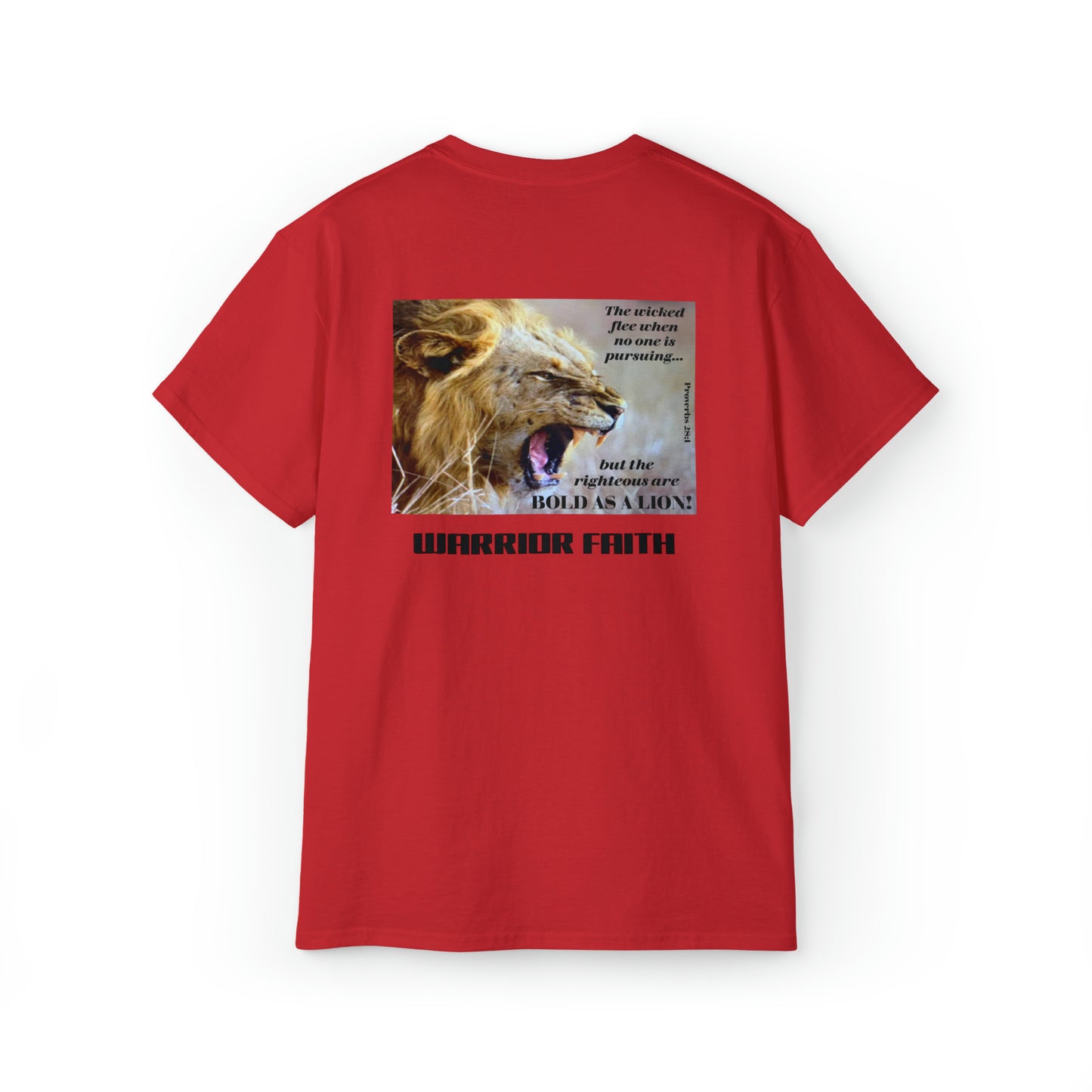 WARRIOR FAITH — BOLD AS A LION Proverbs 28:1