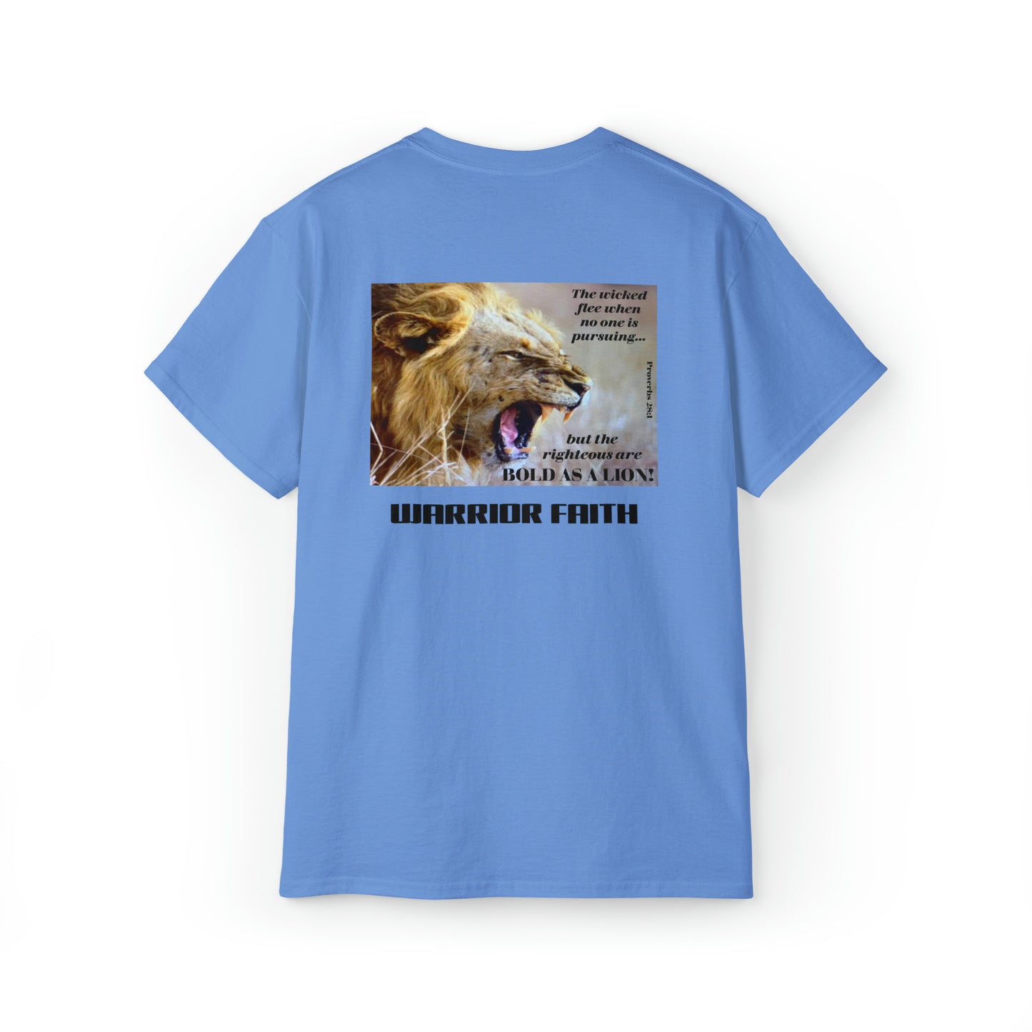 WARRIOR FAITH — BOLD AS A LION Proverbs 28:1