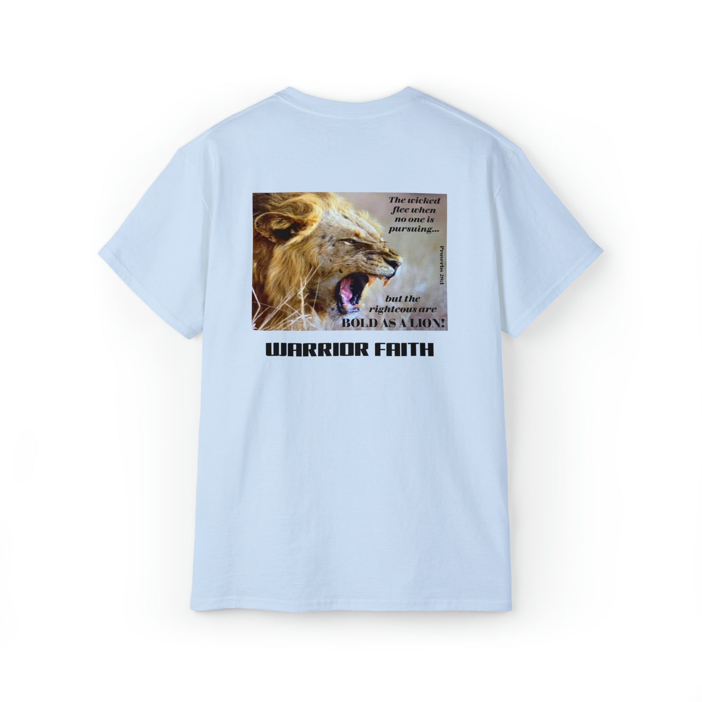 WARRIOR FAITH — BOLD AS A LION Proverbs 28:1