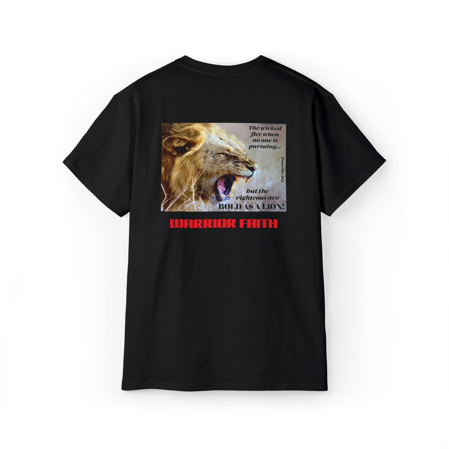 WARRIOR FAITH — BOLD AS A LION Proverbs 28:1