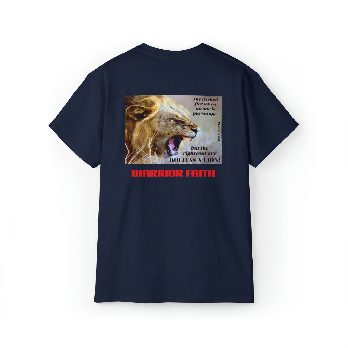 WARRIOR FAITH — BOLD AS A LION Proverbs 28:1