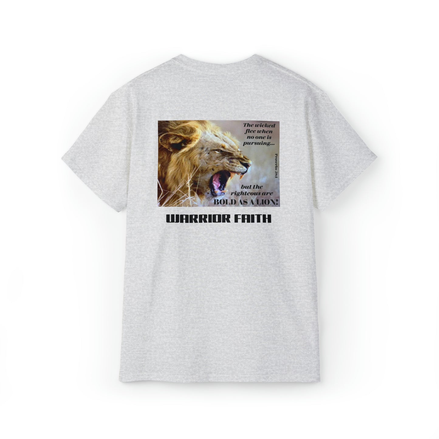 WARRIOR FAITH — BOLD AS A LION Proverbs 28:1