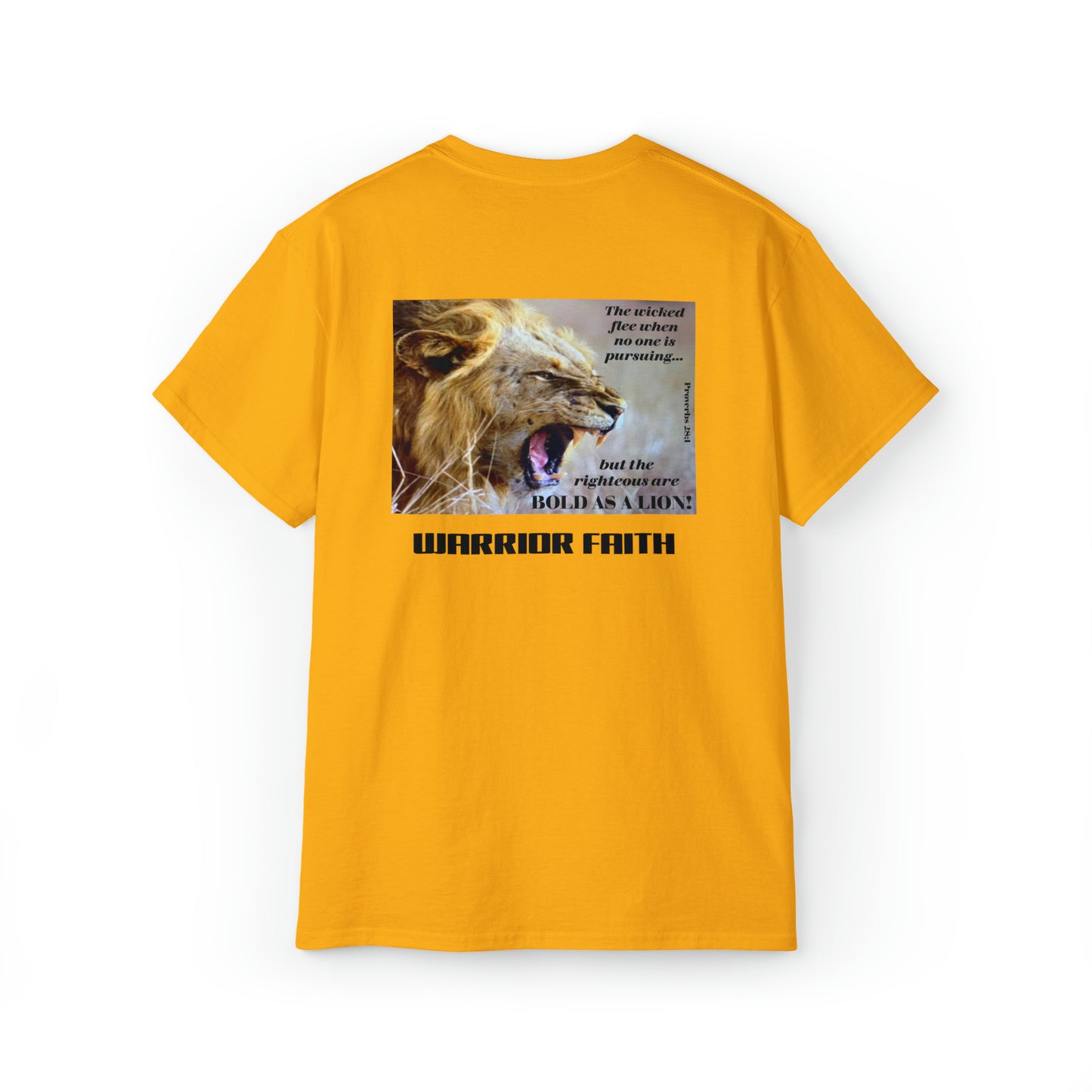 WARRIOR FAITH — BOLD AS A LION Proverbs 28:1