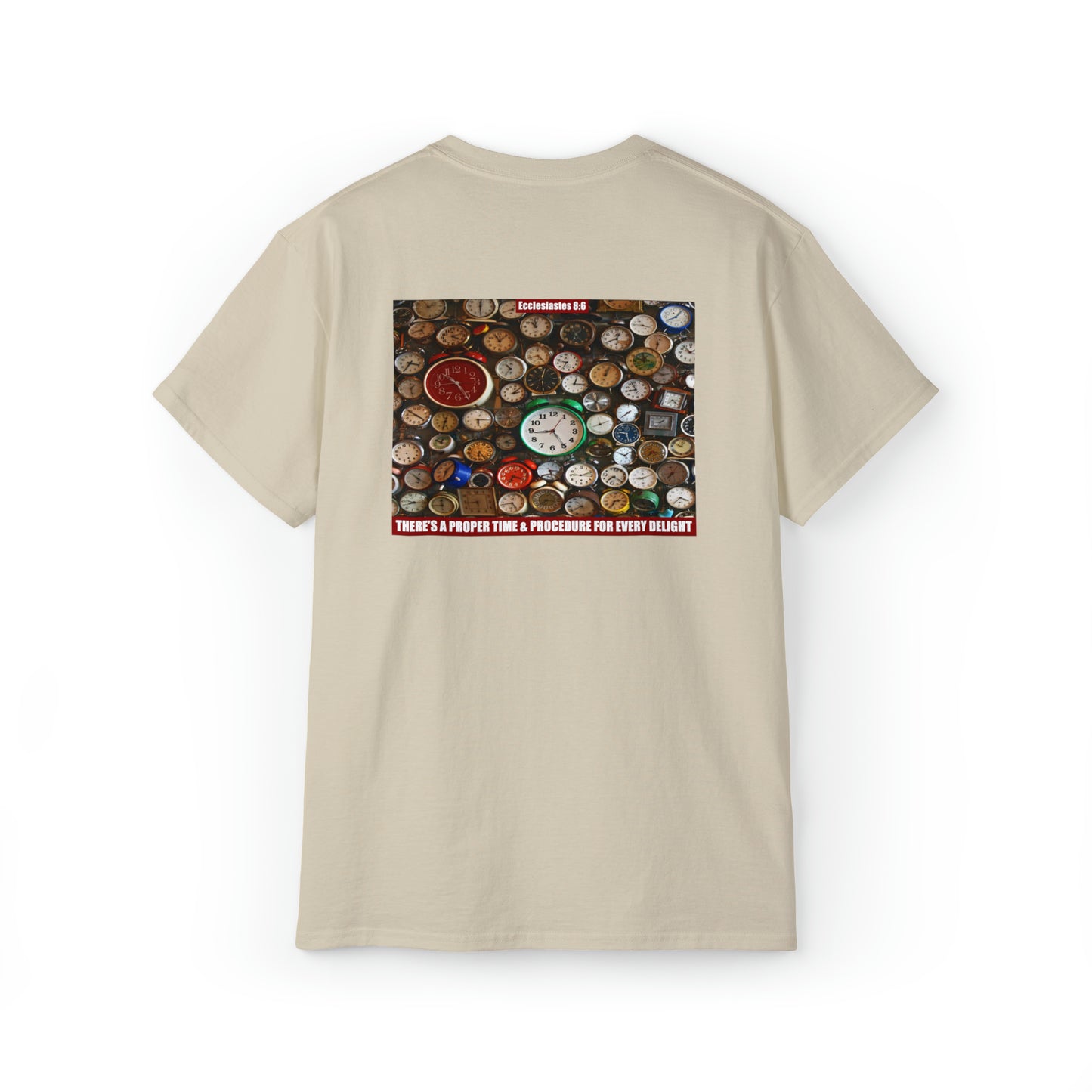 PROPER TIME & PROCEDURE. Ecclesiastes 8:6