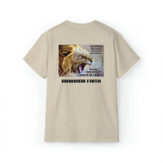 WARRIOR FAITH — BOLD AS A LION   Proverbs 28:1