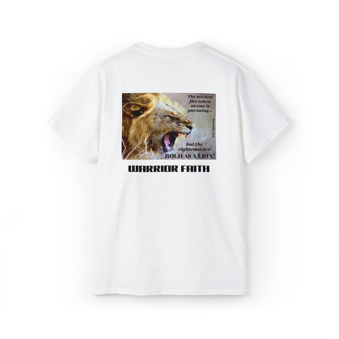 WARRIOR FAITH — BOLD AS A LION   Proverbs 28:1