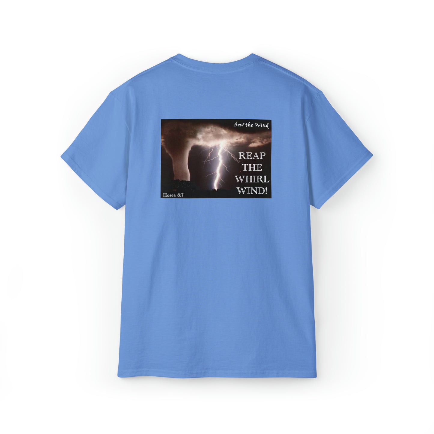 REAP THE WHIRLWIND!  Hosea 8:7