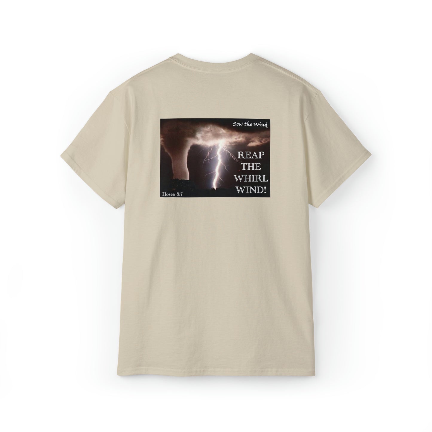 REAP THE WHIRLWIND!  Hosea 8:7